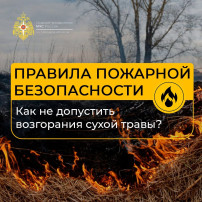 Сухая трава начала гореть часто и много в Липецкой области Сухая трава начала гореть часто и много в Липецкой области.